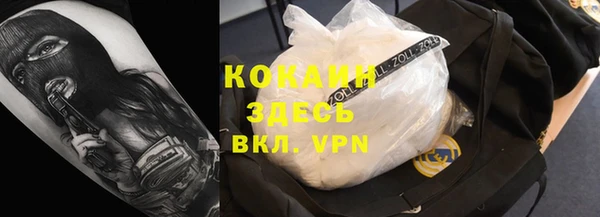 крисы Алзамай