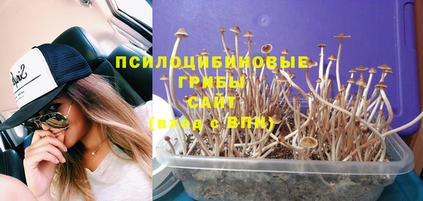 крисы Алзамай