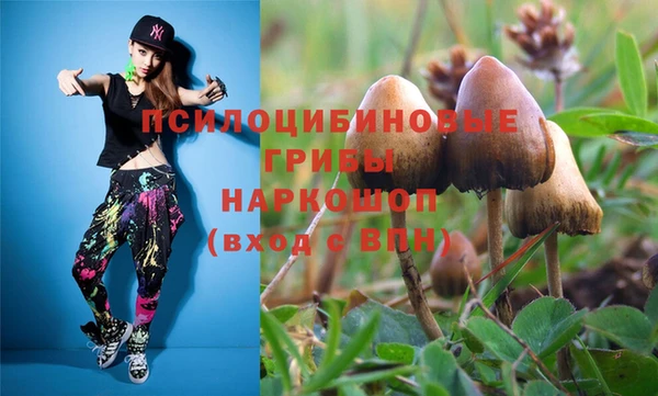 крисы Алзамай
